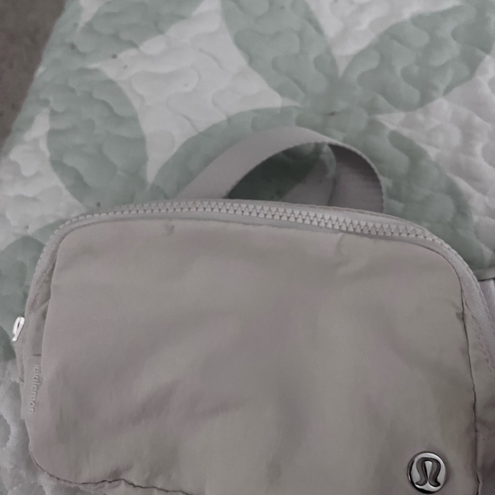 Everywhere Belt Bag Large 2L